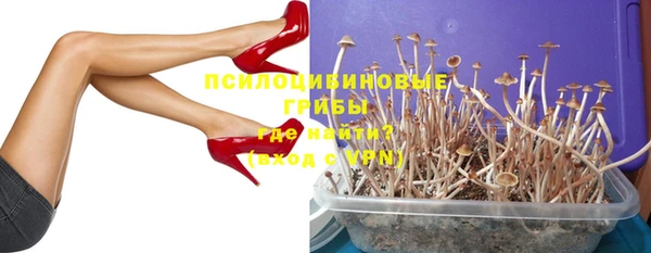 молекула духа Медвежьегорск