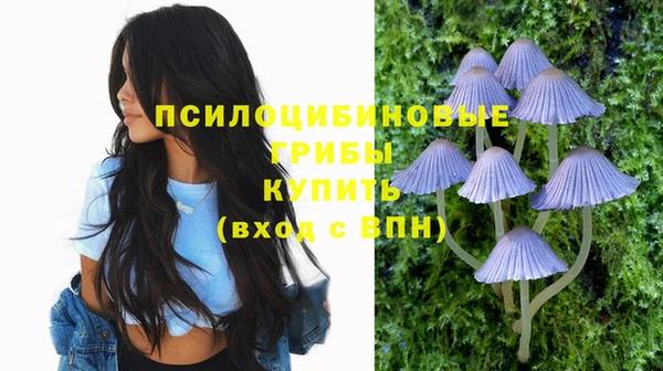 стаф Мегион