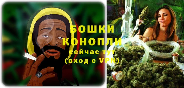 стаф Мегион