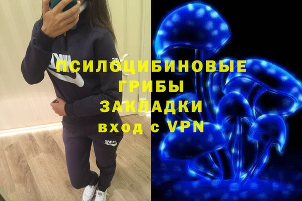 стаф Мегион