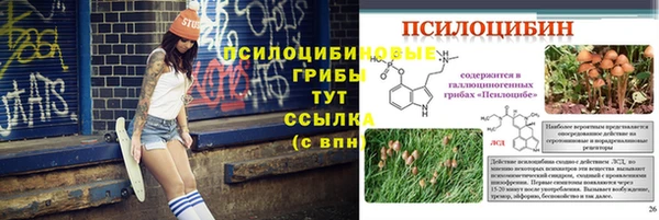 прущая мука Магадан