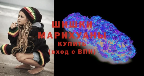 молекула духа Медвежьегорск