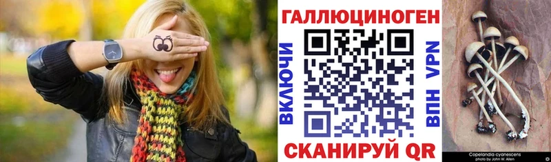 хочу наркоту  Урень  Галлюциногенные грибы Psilocybe 